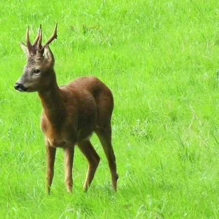 펜션 2 Bed In Nidderdale Hh011